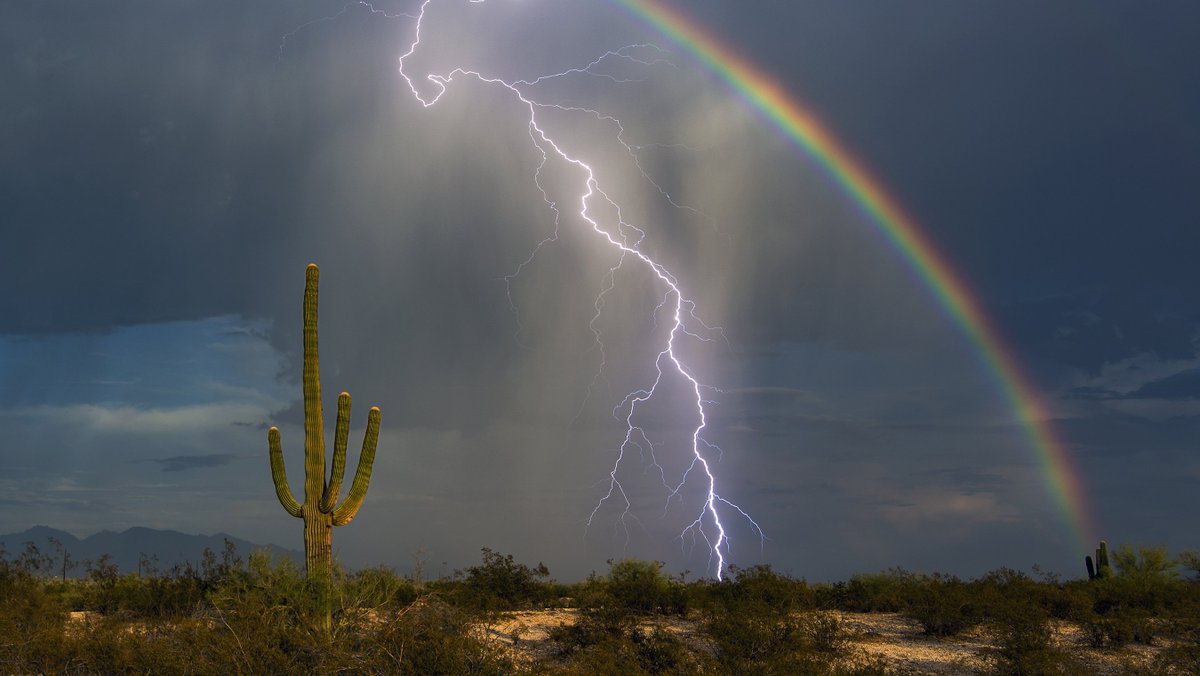 packawin's tweet photo. ¡Feliz día del clima!💚

Os dejamos un artículo repleto de curiosidades y datos sobre las maravillas de nuestro planeta. 

👇

https://t.co/zx6lTlXyMp https://t.co/mHu9lB2qFP