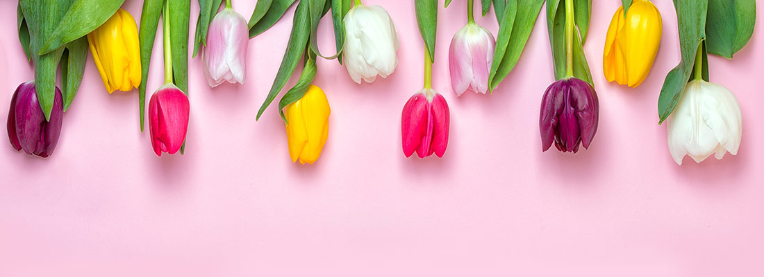 Smilebox tweet media