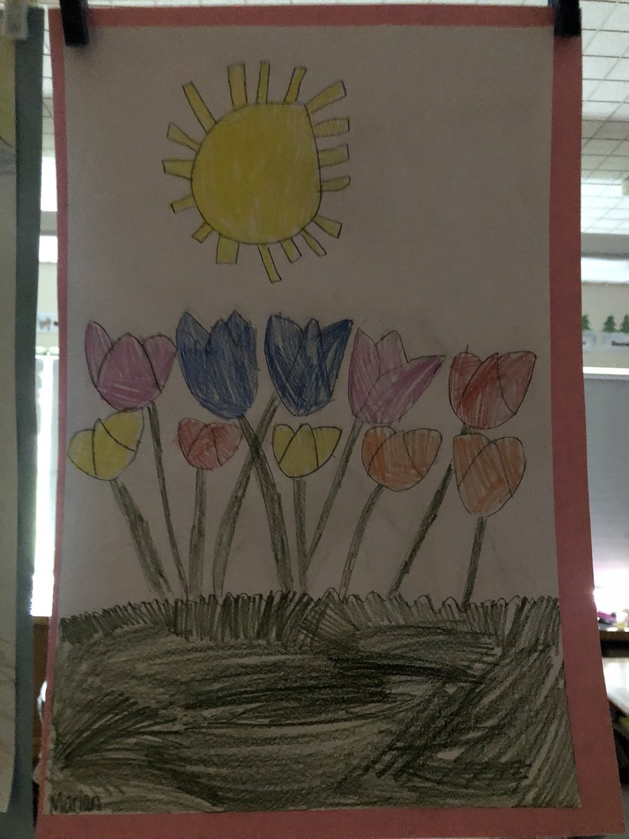 MrsGreco3's tweet photo. Beautiful tulips 🌷 @EHElementary https://t.co/LCCOm7P22U
