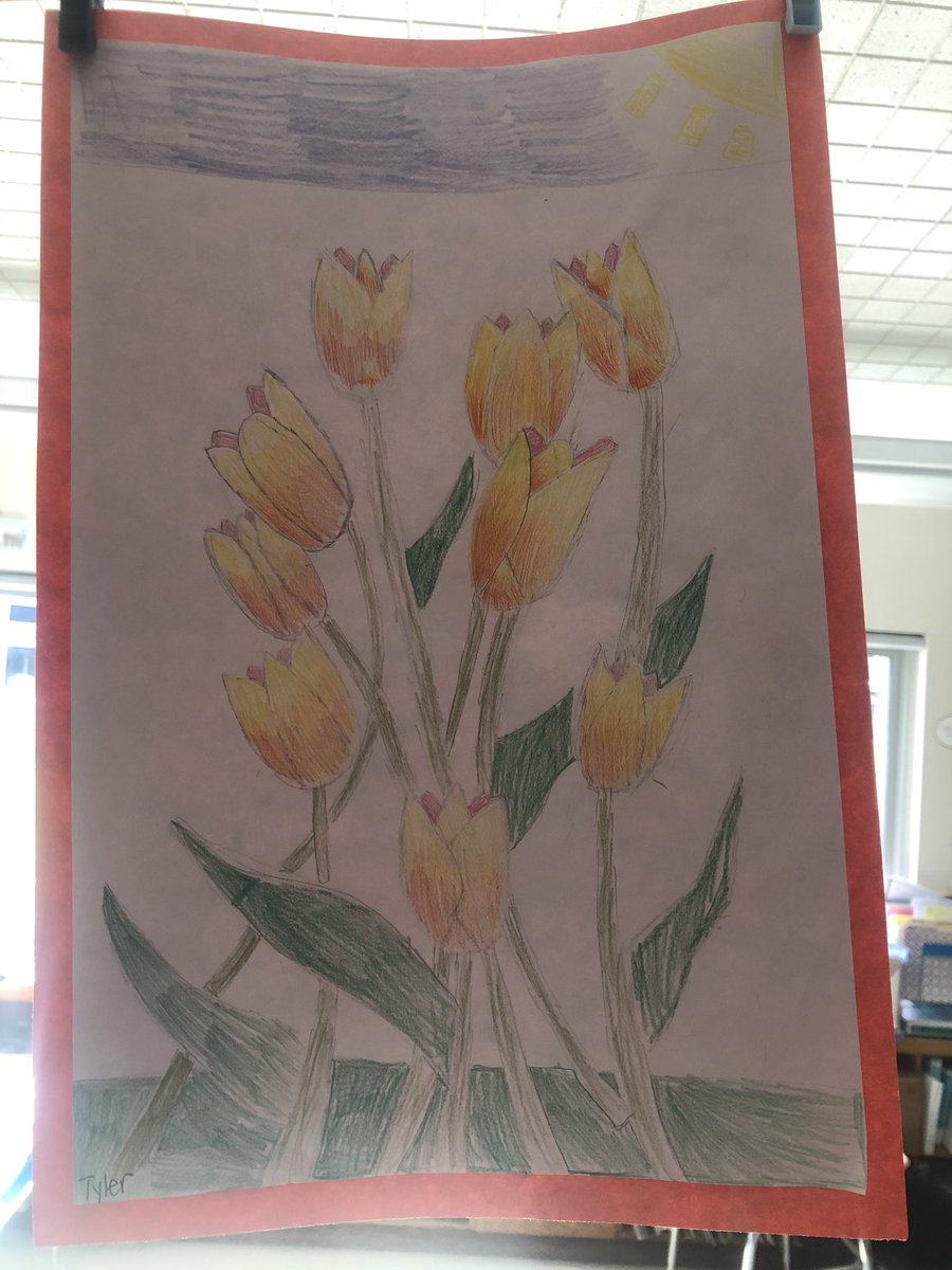 MrsGreco3's tweet photo. Beautiful tulips 🌷 @EHElementary https://t.co/LCCOm7P22U