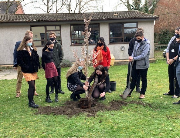 ThealeGreen's tweet photo. Here are our #geography department and Year 13 geography students planting a new cherry blossom tree. 🌲

The tree was kindly donated by @EnglefieldGCCentre (thank you Englefield Garden Centre!) and is one of the many things we are doing in school to mark #earthday2021 https://t.co/ZQm4nC7DM8