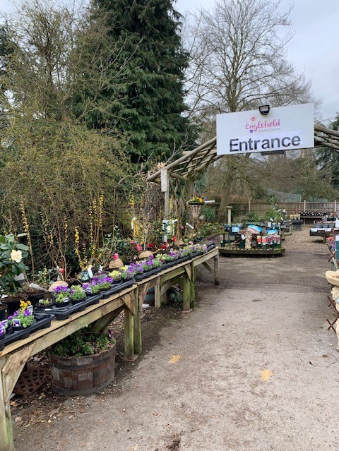 ThealeGreen's tweet photo. Here are our #geography department and Year 13 geography students planting a new cherry blossom tree. 🌲

The tree was kindly donated by @EnglefieldGCCentre (thank you Englefield Garden Centre!) and is one of the many things we are doing in school to mark #earthday2021 https://t.co/ZQm4nC7DM8