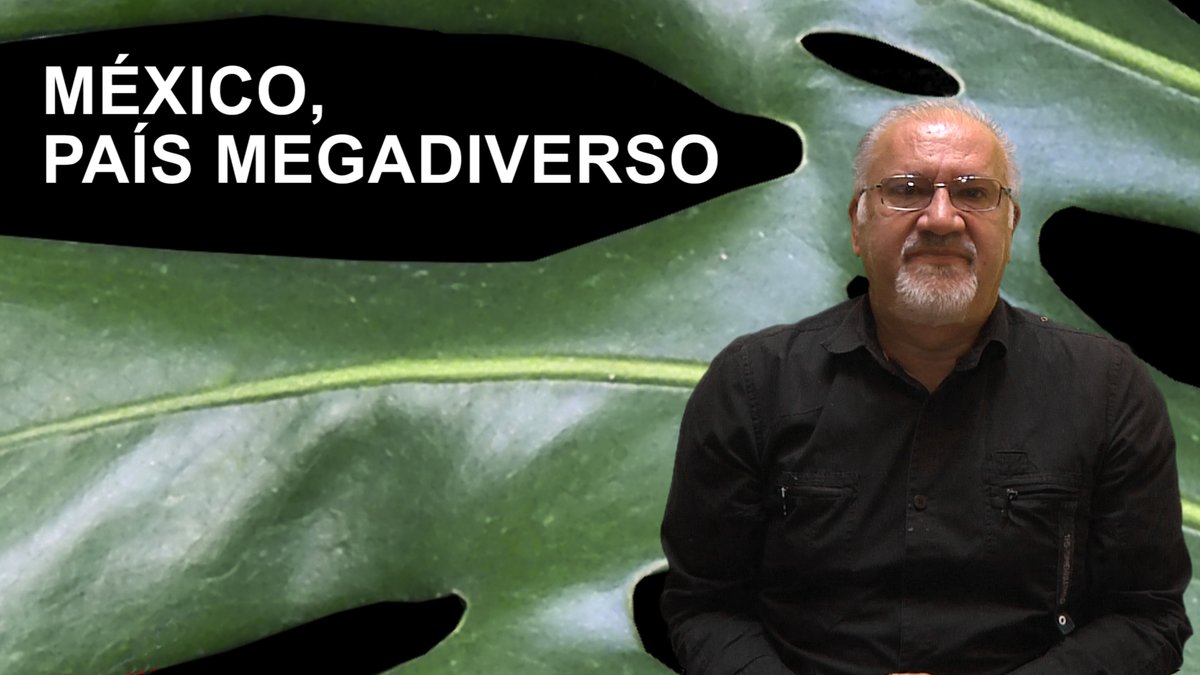 Canal Aula Invertida tweet media