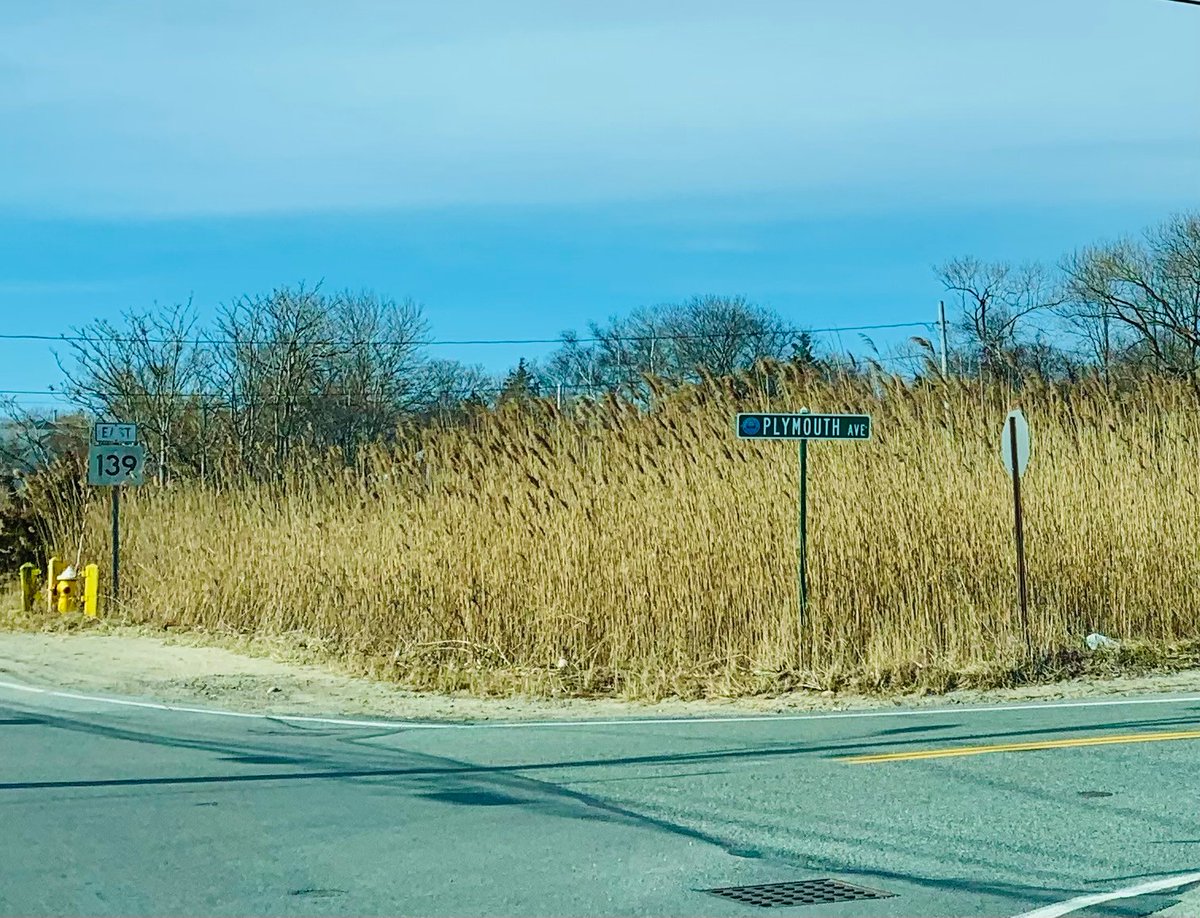 StPatricksDay5K's tweet photo. Where will you be running your 5k this weekend? Comment below! Still looking for a route? Come run the traditional 5k Brant Rock loop or run your own. https://t.co/LBxTp0J0S2