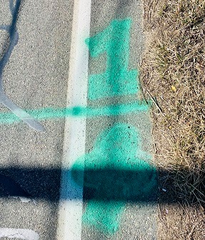 Where will you be running your 5k this weekend? Comment below! Still looking for a route? Come run the traditional 5k Brant Rock loop or run your own.