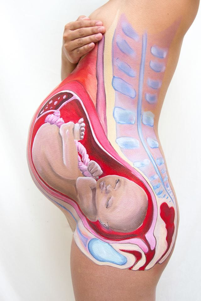 womensart1's tweet photo. Dutch photographer Leonie Versantvoort and bodypaint artist Marieke Crone collaborated on Bellypaint, a project featuring an anatomical body painting on a pregnant woman #womensart https://t.co/FPz0AoAfSM