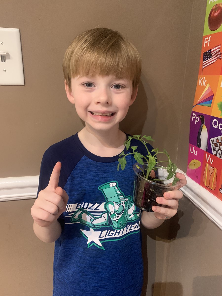 wattsbears1's tweet photo. @wattsbears1 @Hubbard_Elem @monroe_schools #PLANTS #SCIENCEINACTION https://t.co/X3Xt7hRBOv