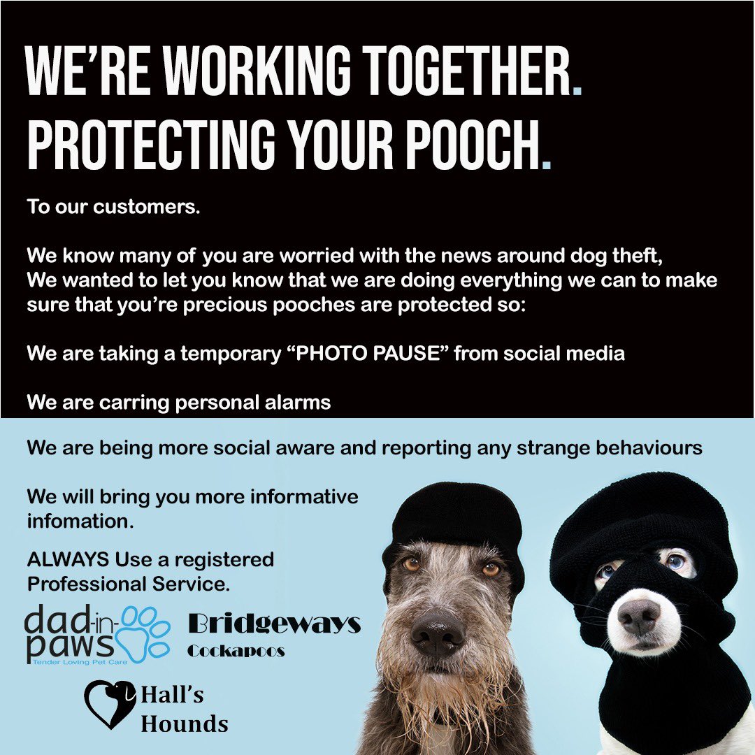 DadinPaws's tweet photo. We're Working Together. 
Protecting Your Pooch. https://t.co/hOTOQXIJvV