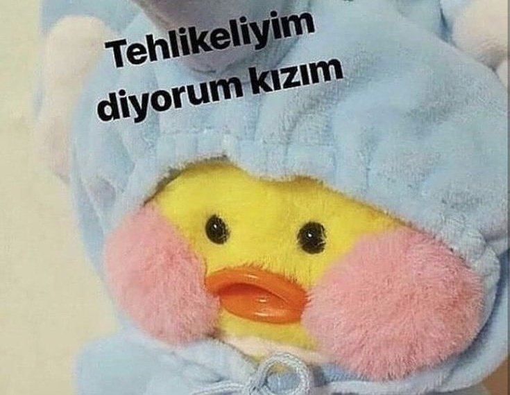 geceqalp's tweet photo. 📌Ege'ye bi kız yaklaşmaya çalışıyordur, İzmir; https://t.co/jVnvGbQkKG