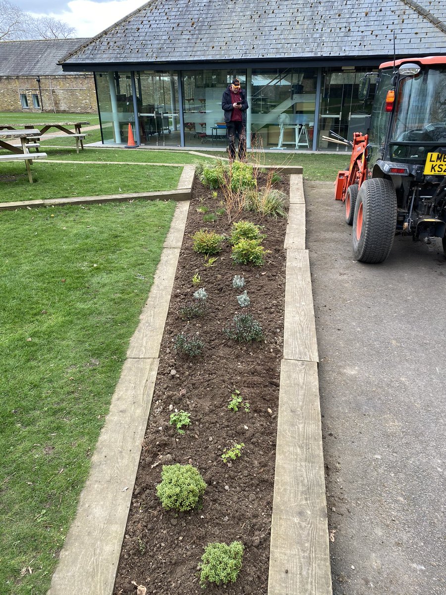 Ive been wanting to plant these beds since i started at the school.  Finally got them done today.  Mark and i are very excited to see them grow #gardening #garden #plants