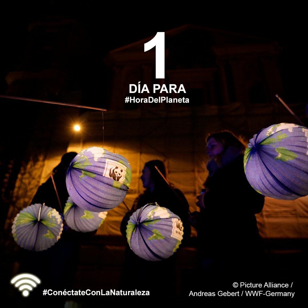 WWFAltoSil's tweet photo. Desde ahora mismo quedan 24 horas para la #HoraDelPlaneta que también va a ser la #HoraDelPlanazo. Un programa de naturaleza, sobre naturaleza y sobre gente que ama la naturaleza y el Planeta. ¿Te lo vas a perder? https://t.co/KFzWY3YOSz