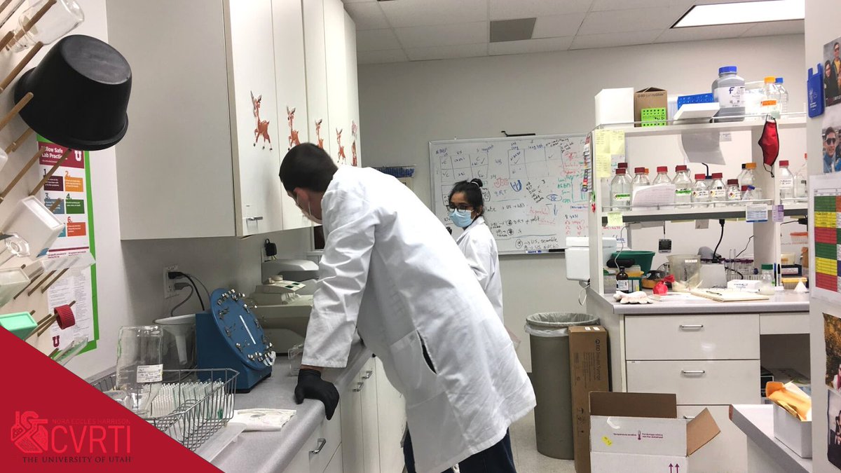 NEH_CVRTI's tweet photo. The grind never stops ๐งช๐ฌ
Post-doctoral fellow, @joevisker and graduate student, Anu Shankar, plan #experiments in the Drakos #Lab (@StavrosDrakos).
#hearthealth #cardiovascular #research #Utah #CVRTI https://t.co/kEgPD1Nvn2