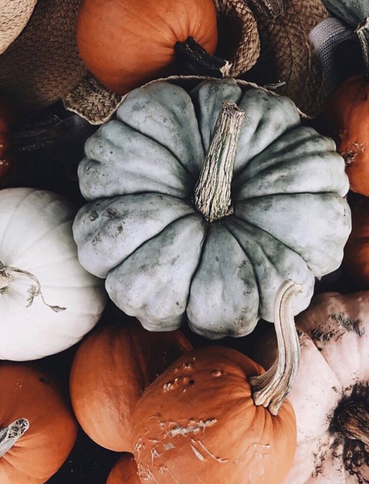halloweenshoppp's tweet photo. https://t.co/3sFwY88GXB