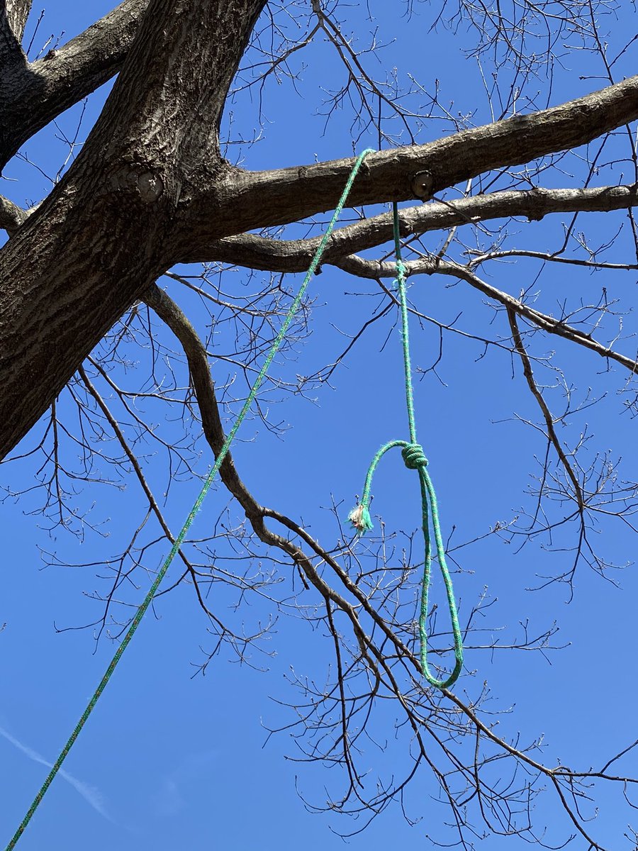 theHillisHome's tweet photo. A noose was placed overnight in the courtyard at St. Mark’s Episcopal church, 3rd and A Streets SE. Rev. Michele Morgan says they church’s had two #BlackLivesMatter banners torn from the front of the church within the past year. Cc @alanhenney https://t.co/W8f2GJBFVE