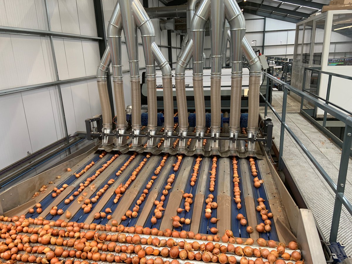 TongLtd's tweet photo. Another busy week & we’re delighted to share with you one of our latest projects👌🏼As UK distributor of #MAFRoda, together we manufactured the most advanced #onion optical sorting solution for Elveden Farms🧅 Find out more here:https://t.co/jsF3z1Kd0r @ElvedenFarmer @ElvedenEstate https://t.co/cJAxUYDSZh
