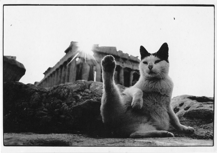 archaeologyart's tweet photo. "Leg in the air - Parthenon" - Postcard, image by Edgard Alsteens, 1986. https://t.co/zjPnZLQvGF