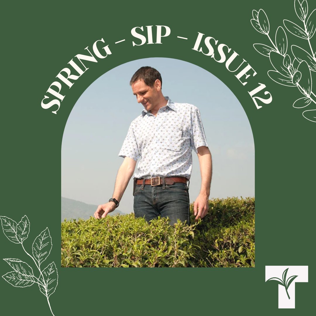 CanadaTea's tweet photo. We talked to Kevin Gascoyne of @CamSinTeahouse for our tea expert interview in the new issue of sip. Find out what a typical day at work consists of for him on page 6. #BrewCrew #TeaForLife #sip #sipmagazine https://t.co/KqGKYT0uIu https://t.co/Buf5WyMo0b