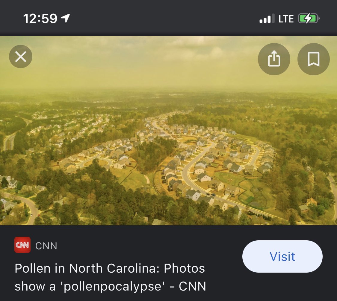 suzisarcasm's tweet photo. This is my area right now. #Pollenpocalypse https://t.co/nKyQmNO9pX