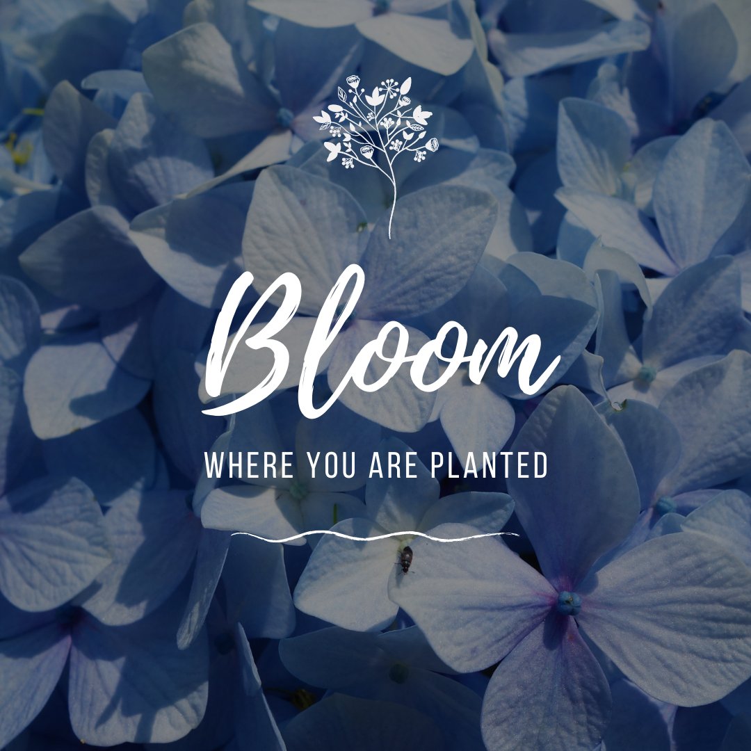 StadeMarketing's tweet photo. 🌼 https://t.co/zkxh4aKPXN