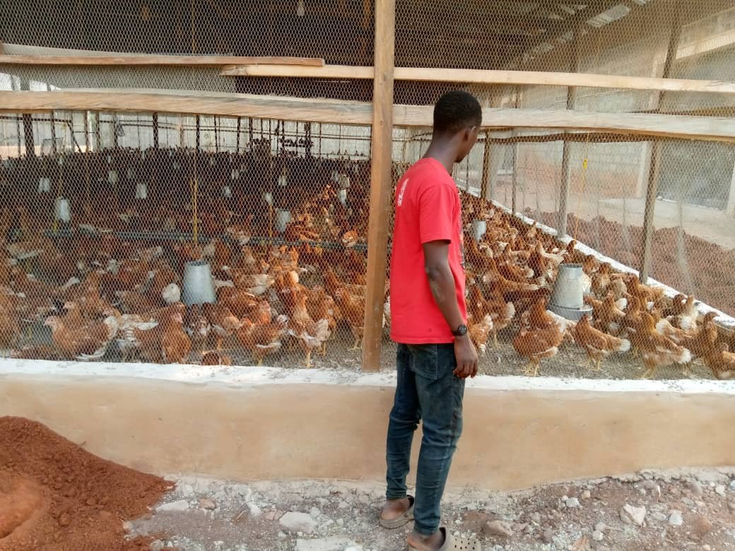 jaeetconsultng's tweet photo. Despite growing high cost of feeds, we will continue to support our farmers through out these trying times. https://t.co/cPnaspxoQX
