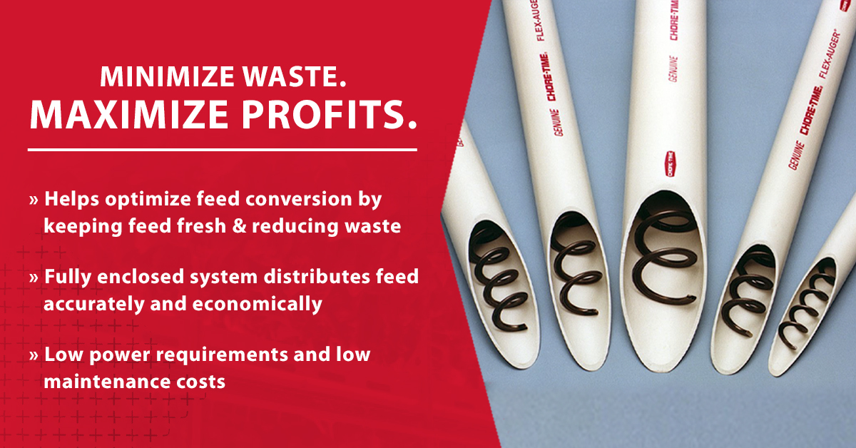 Chore-Time's FLEX-AUGER® Coreless Auger Feed Delivery System has proven to be the most reliable and best way ever devised to convey feed. This helps you minimize waste and maximize profits. bit.ly/3l4jfaP #agtwitter #flexauger