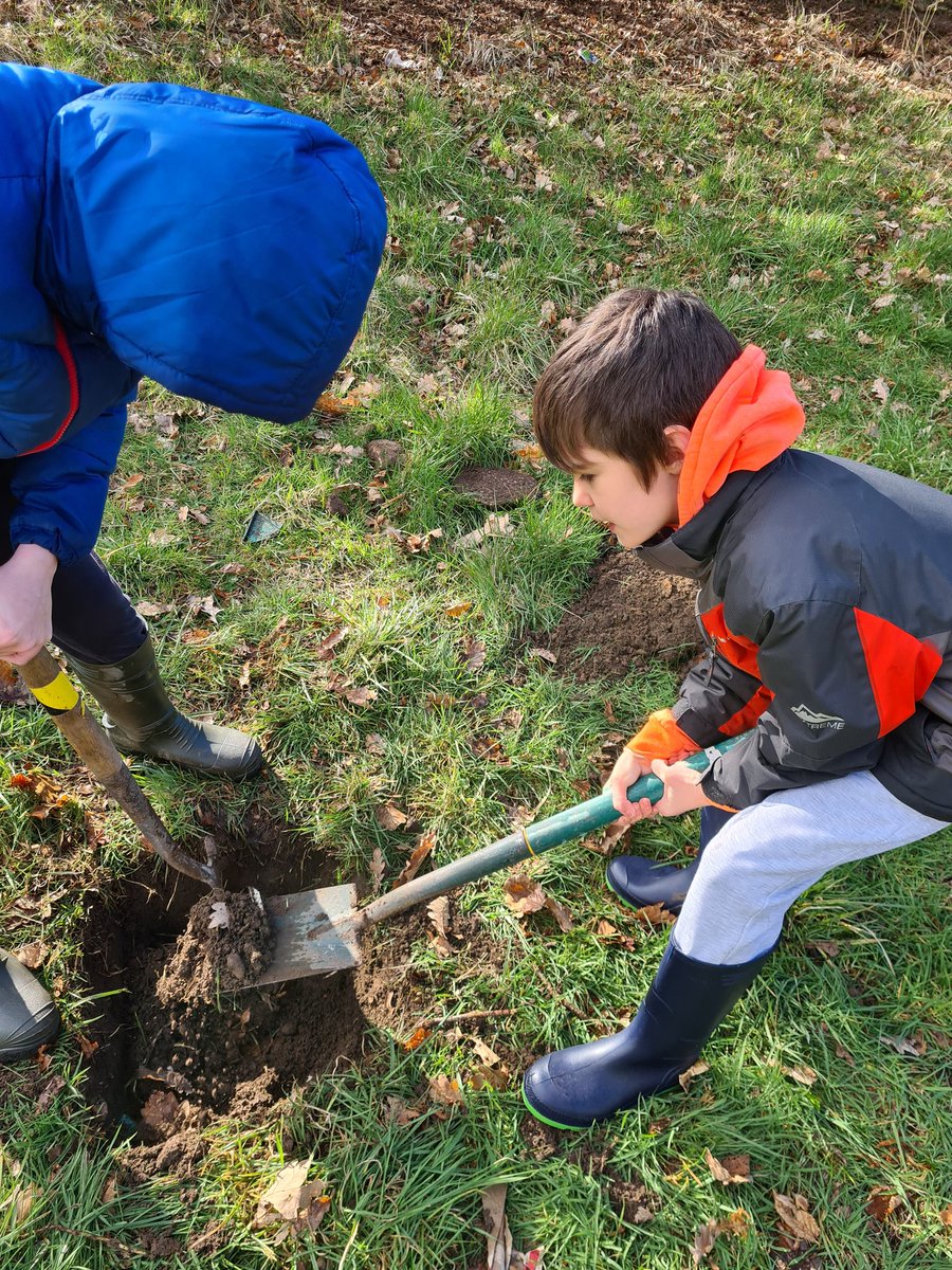 loopylou1303's tweet photo. Tree planting with Matthew &amp; Andrew #teamwork https://t.co/mDP1ykk9SO