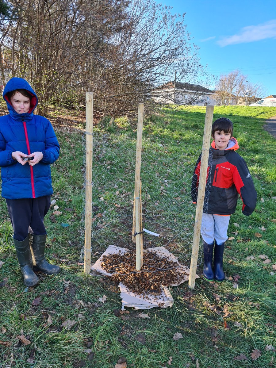loopylou1303's tweet photo. Tree planting with Matthew &amp; Andrew #teamwork https://t.co/mDP1ykk9SO
