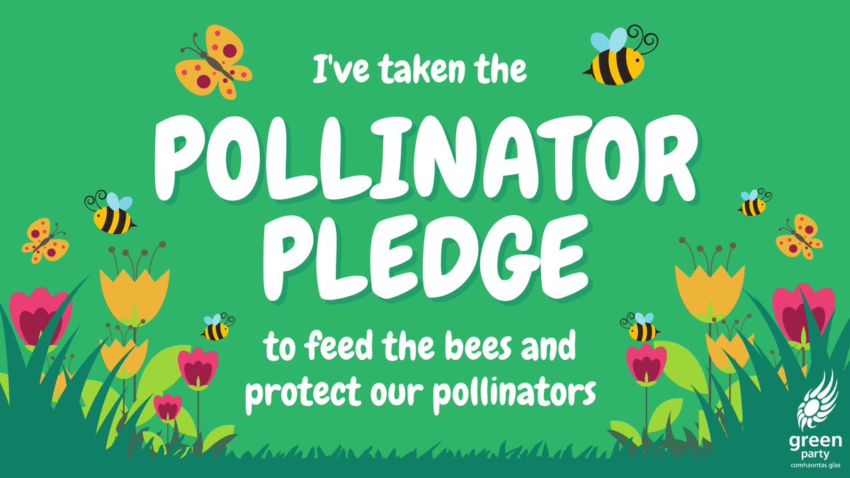 greenparty_ie's tweet photo. The new @PollinatorPlan will help bees and nature, with increased focus on endangered species like the Great Yellow Bumblebee. It asks people to pledge their garden for pollinators, creating pitstops for hungry bees across our landscape.

Will you take the #PollinatorPledge? 🐝 https://t.co/ZOcMm6b79b
