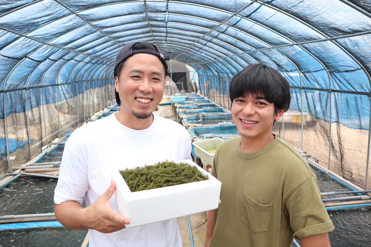 aki_rina's tweet image. 沖縄の海ブドウが300kg余っているそうで、初めて自宅宛にお取り寄せしてみました…！飲食店への出荷減影響とのことですが、確かに海ブドウって飲食店でしか食べたことない😲ドレッシングも付いてるからすぐに食べれそう。楽しみ✨ #農家漁師からのSOS

▼こちらの海ブドウです
tabechoku.com/producers/2113…