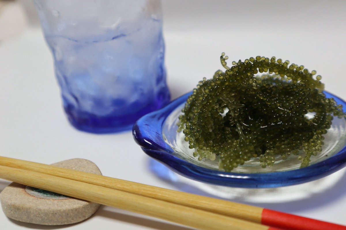 aki_rina's tweet image. 沖縄の海ブドウが300kg余っているそうで、初めて自宅宛にお取り寄せしてみました…！飲食店への出荷減影響とのことですが、確かに海ブドウって飲食店でしか食べたことない😲ドレッシングも付いてるからすぐに食べれそう。楽しみ✨ #農家漁師からのSOS

▼こちらの海ブドウです
tabechoku.com/producers/2113…