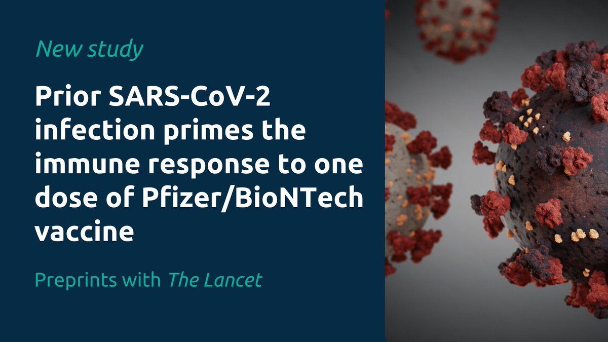UKCICstudy's tweet image. 🆕A new study by #UKCIC researchers within @PITCHstudy shows that those with prior #SARSCoV2 infection had higher T cell &amp;amp; antibody responses after one dose of the Pfizer/BioNTech vaccine, compared to uninfected individuals.

Read more on our website 🔗 uk-cic.org/news/prior-sar…
