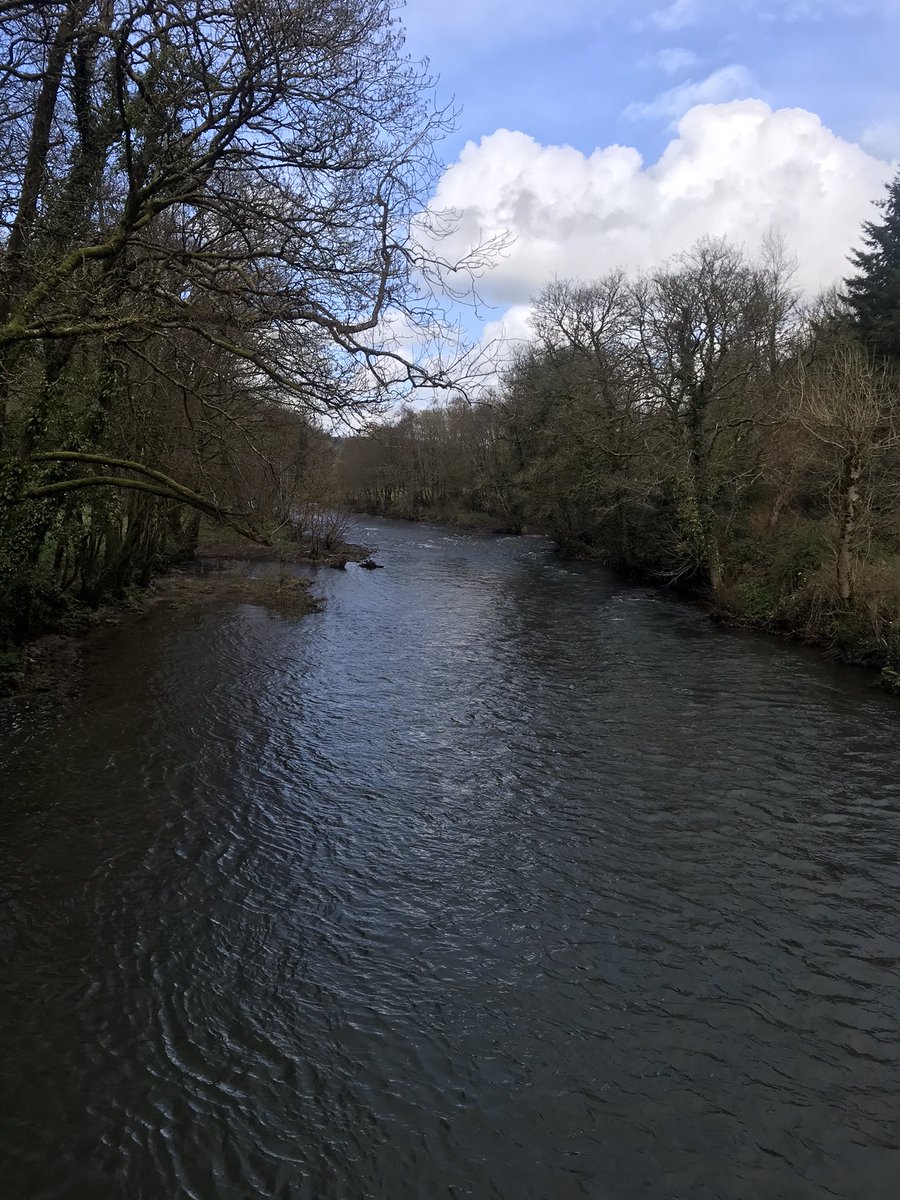 _IanAdams's tweet photo. That Friday feeling! #TreeClub #Exmoor #DevonBranch https://t.co/o5EEMVGy2t