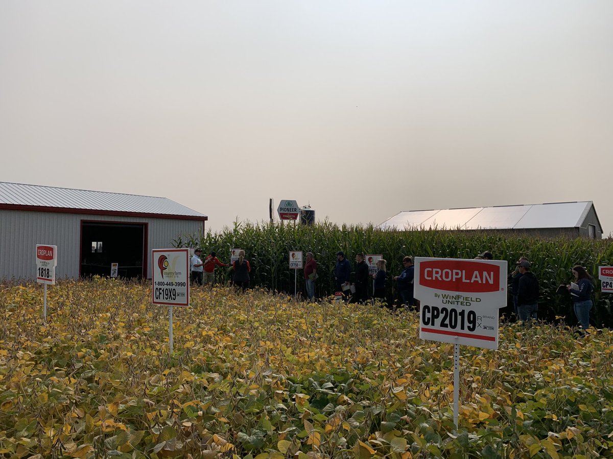 Thrower_Matt_'s tweet photo. Today is #CROPLANFriday and we are excited to bring growers a dual portfolio giving growers options! #Extend #Enlist #WinPak #OntAg #GrowCROPLAN #CountryFarmSeeds #CROPLAN https://t.co/FtrGJhLJPb