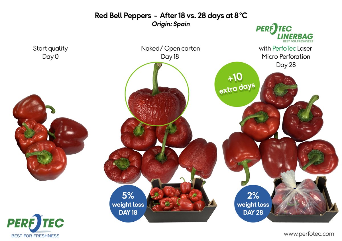 The PerfoTec effect on #transport and #storage of Red Bell Peppers leads to a minimum of 10 extra days shelf life when stored in PerfoTec LinerBag!