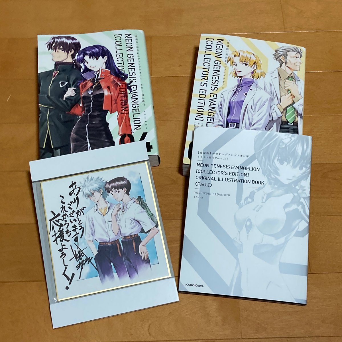 エヴァ愛蔵版 エヴァ愛蔵版