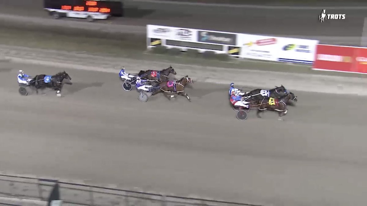 BrewinRacing's tweet photo. #Crossroader gets the job done @BendigoTrots tonight coming 4 wide in a nice last half https://t.co/6Eh2XH0Y2u