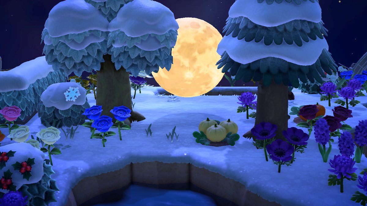 GoldenSince1987's tweet photo. #AnimalCrossing #ACNH #NintendoSwitch https://t.co/8oPb5aTgJE