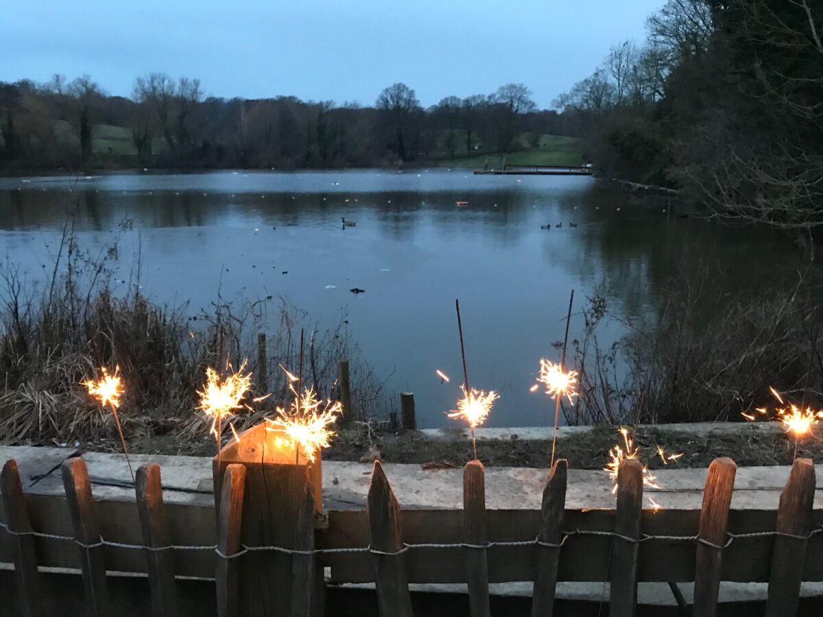 Save Our Ponds tweet media