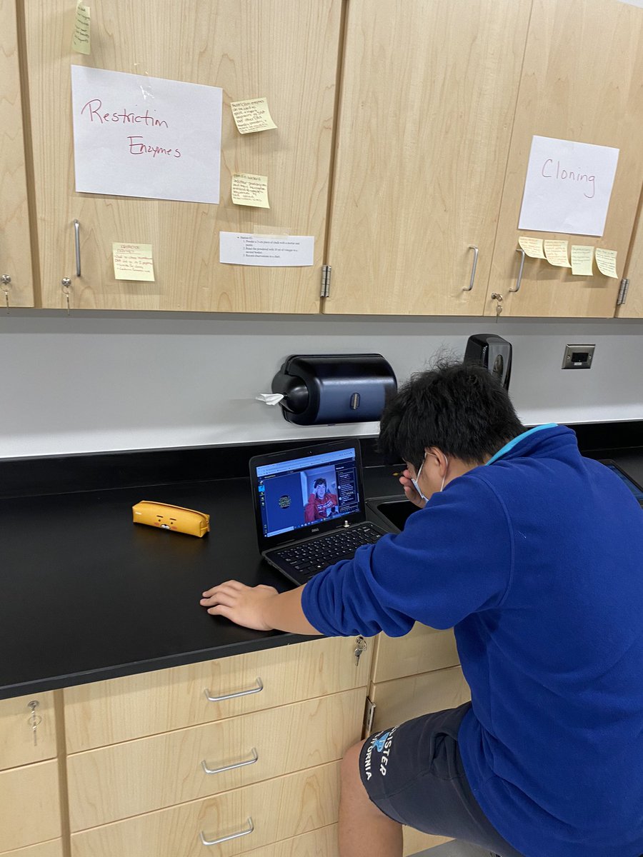 kelleydrew's tweet photo. WOHS 💚💛 AP BioStats are rocking Microsoft Teams Breakout Rooms by collaborating with the "at home" peers! @WOHS_Principal @WhiteOakVikings @OnslowSchools @christyt04 https://t.co/9qSvq2zpd6