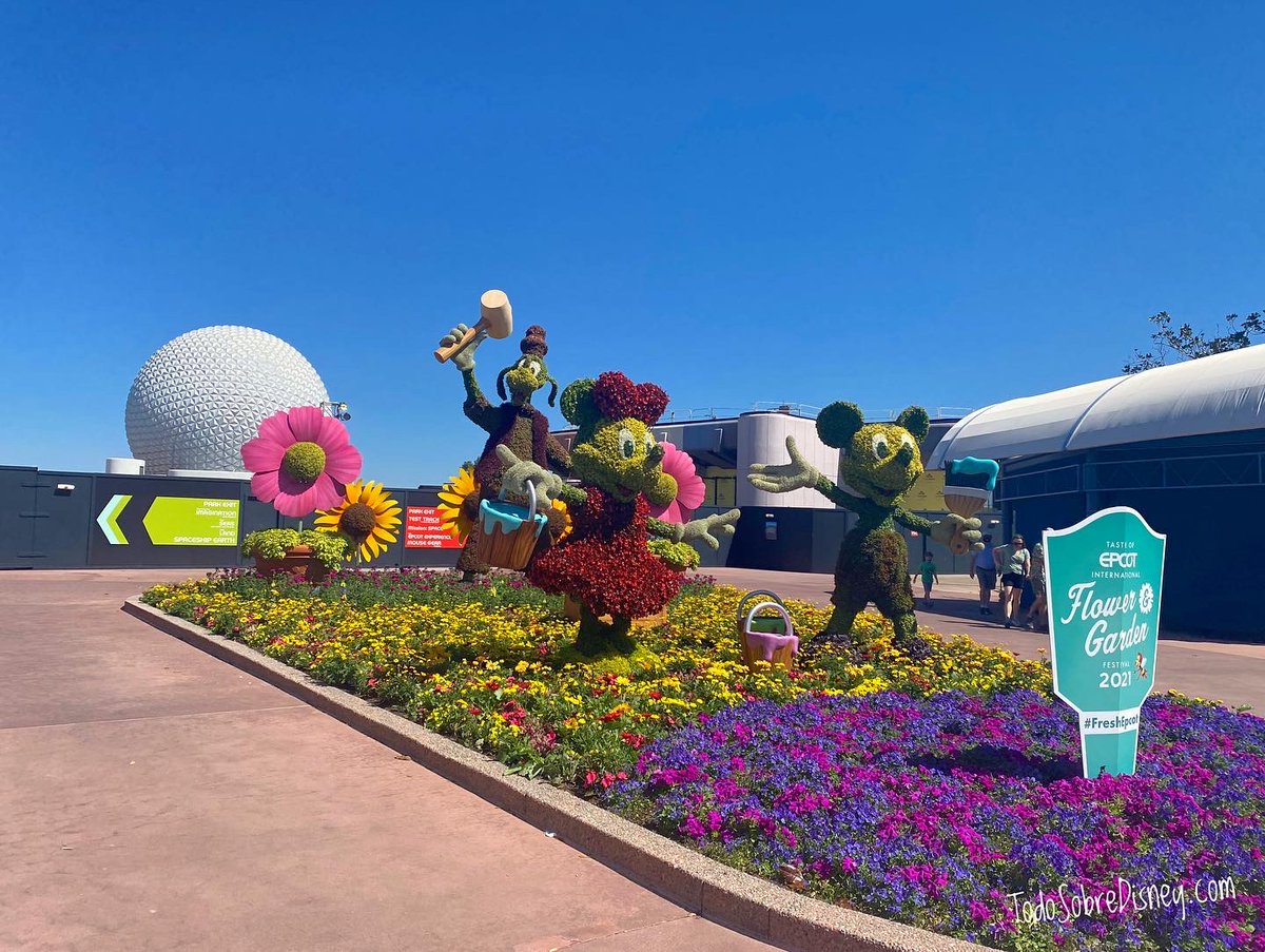 TSobreDisney13's tweet photo. ¡Así se recibe la primavera! Con el Festival de Flores y Jardines en EPCOT🌷🌼🌺

#WDW #Florida #DisneyWorld #ParquesDeDisney https://t.co/454oUj2Z2P