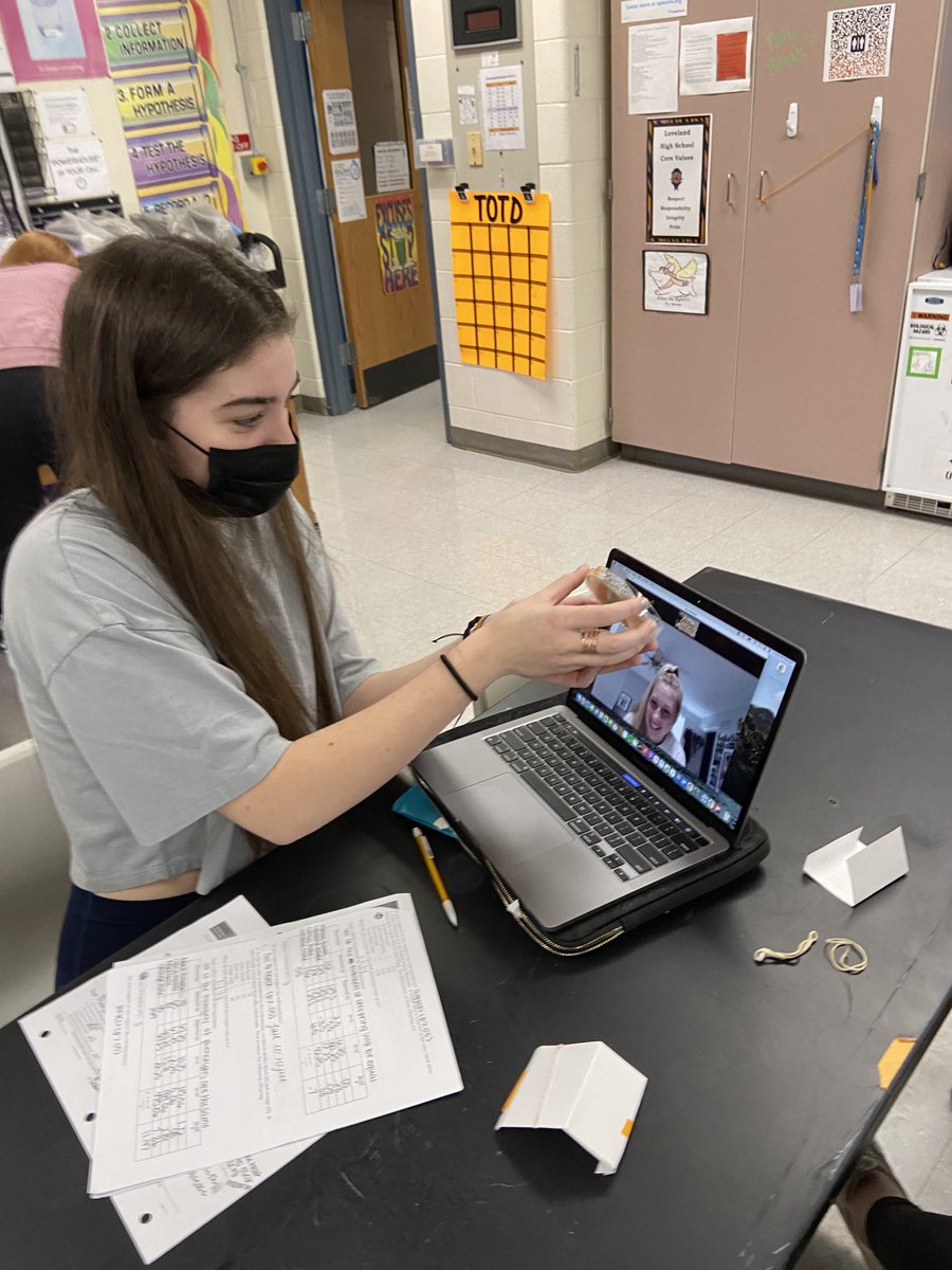 SchermsLHS's tweet photo. Love me some @fastplants for #LHSAPBio genetics 🧬. Extra ❤️ Rachel Y sharing data w virtual learner, Nia G. 🧑💻 @LHSTigrInCharge https://t.co/0ny9qtYImq