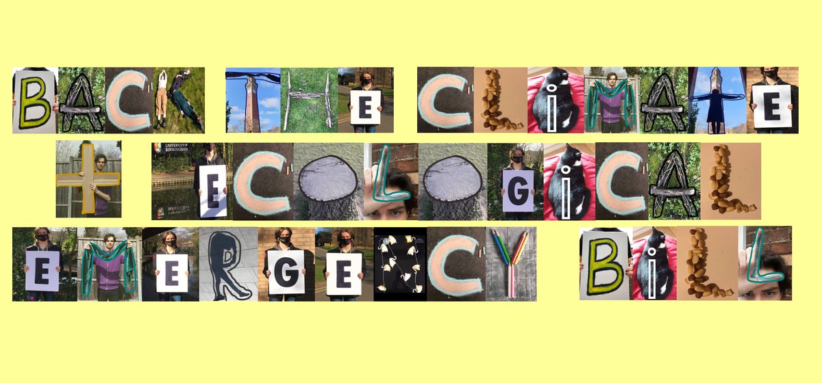 Thank You <a href="/steve_mccabe/">Steve McCabe</a>, <a href="/TahirAliMP/">Tahir Ali MP</a>, and <a href="/liambyrnemp/">Liam Byrne MP</a> for supporting the #CEEBill ! We are calling on <a href="/PreetKGillMP/">Preet Kaur Gill MP</a>, <a href="/JackDromeyMP/">Jack Dromey MP</a>, <a href="/ShabanaMahmood/">Shabana Mahmood MP</a>, <a href="/GarySambrook89/">Gary Sambrook</a> and <a href="/khalid4PB/">Khalid Mahmood</a> to join their colleagues in supporting
<a href="/CEEbill_NOW/">Zero Hour 🌍</a>.