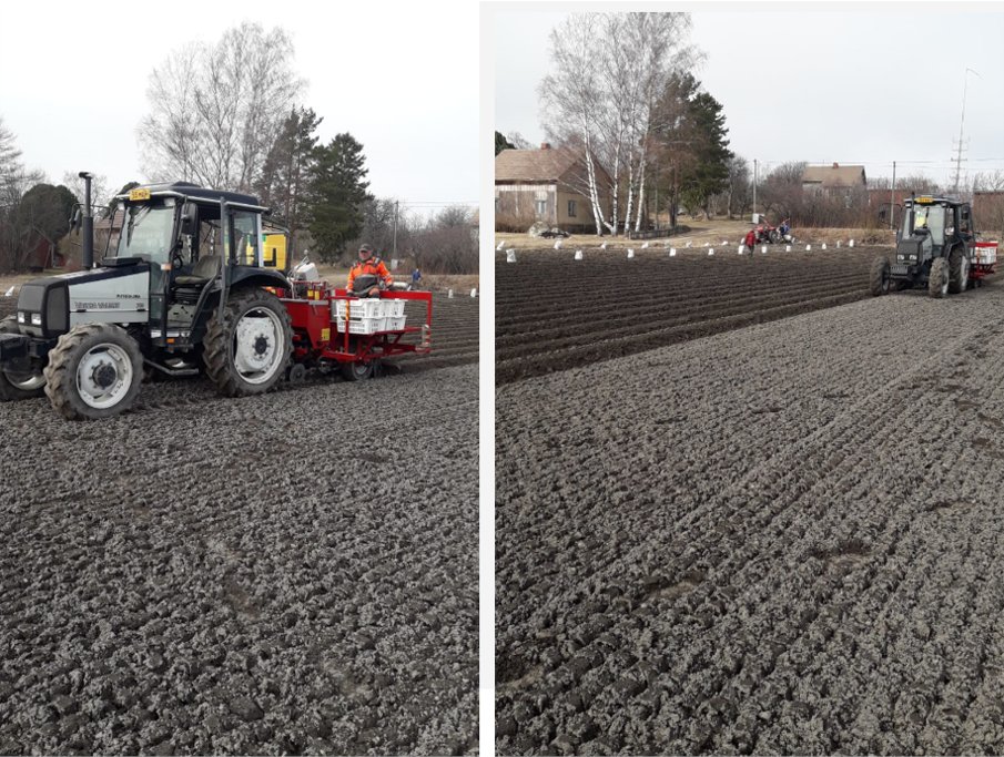 Minulle kevään merkki on se, kun tavarantoimittajiltamme tulee tieto että #kesäpöydänkunkku #suomalainen #varhaisperuna istutukset ovat täydessä käynnissä #saaristo'ssa. Nyt on siis #kevät!