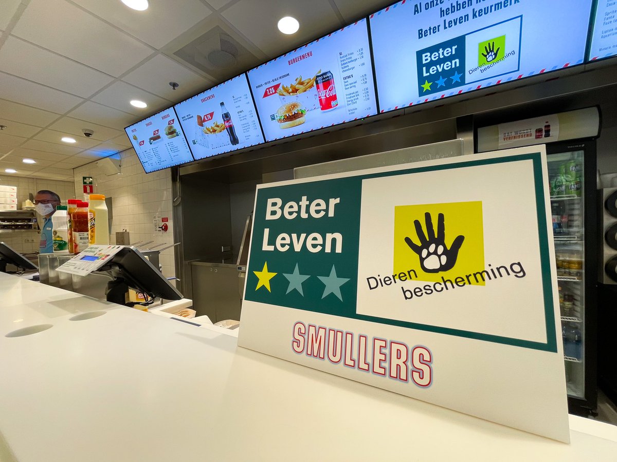 NS online tweet media