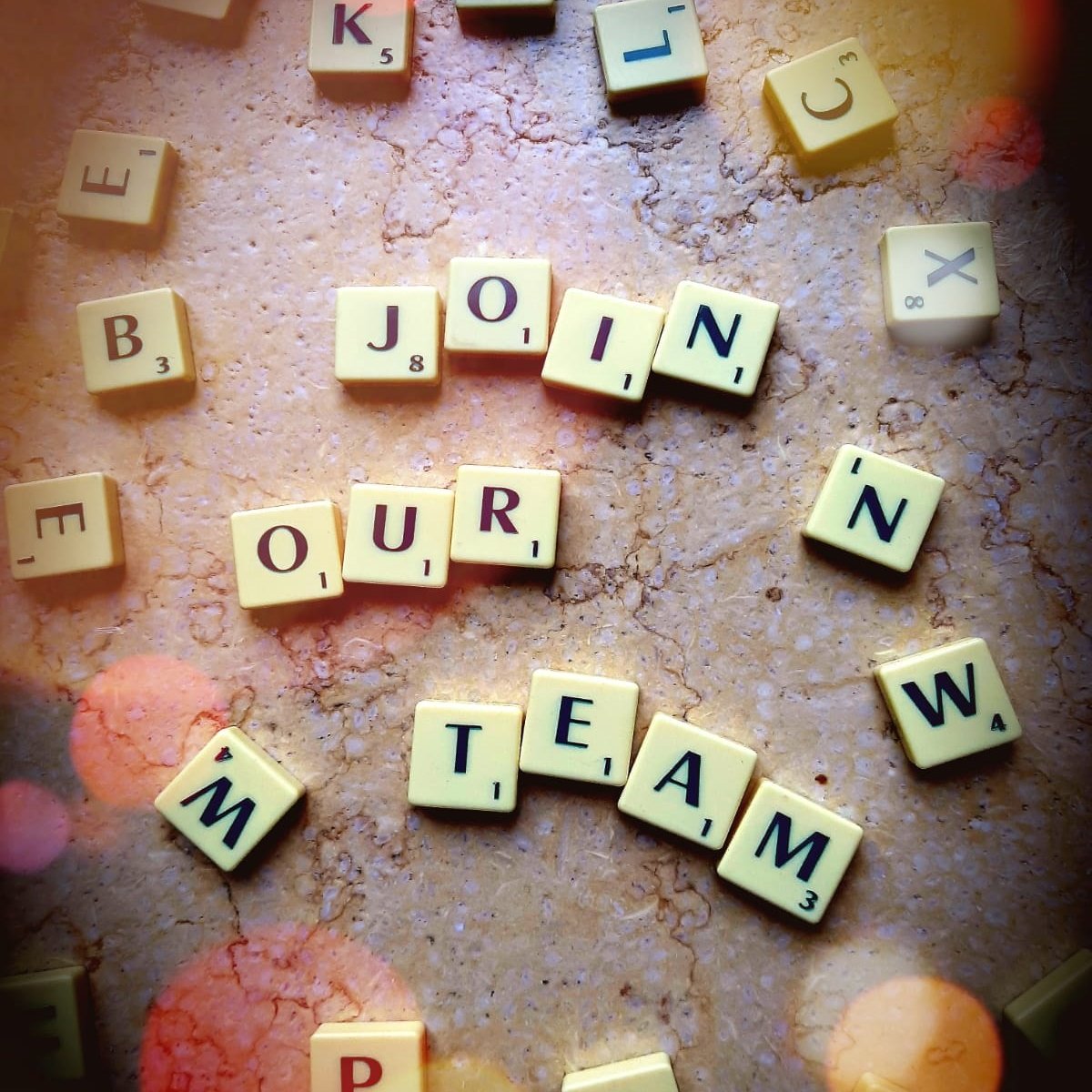 SandyBearWales's tweet photo. We are looking for a talented individual to join our team as Charity Coordinator in #Pembrokeshire.

More info can be found on our website. 

Closing date - 13th April.

Visit https://t.co/uRisi7MY0A for more information and to apply. https://t.co/AvzTCJXpb8