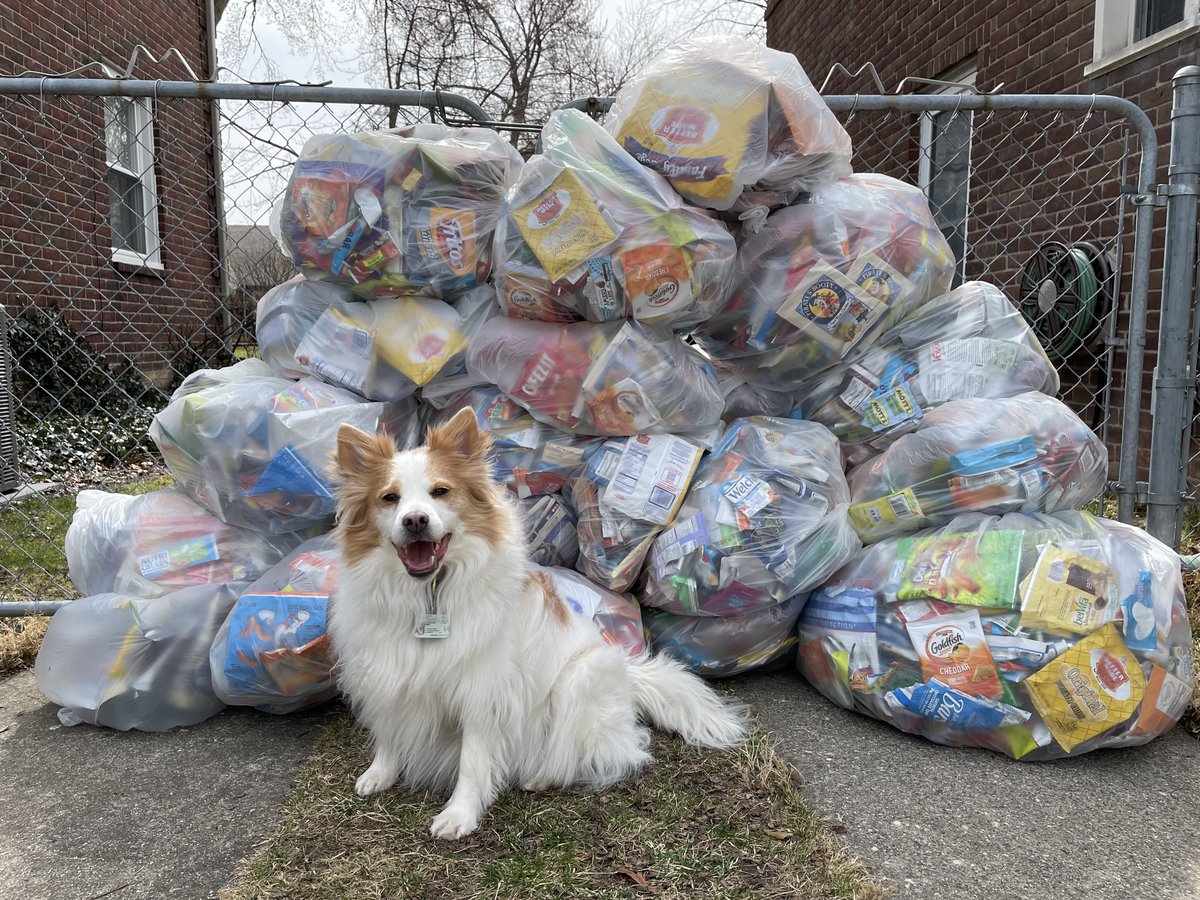 Howeys4th's tweet photo. We're excited to be wrapping up the Chip Bag Project! thanks to all @gpmonteith Tigers🐯, we collected a ton of foil-lined chip bags &amp; more! We appreciate @BetterMade donating chips, to help us raise $ for this important project! 👍 #givingback https://t.co/sf5t9VkSIu