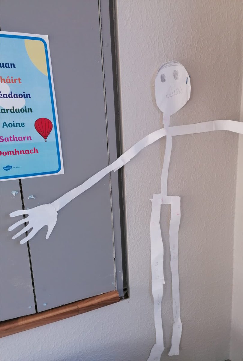 Banogue_ns's tweet photo. Pupils in the senior room measured the various parts of their bodies and cut out paper skeletons based on the measurements.  Maths and Science, a perfect learning combo! #pdstmaths #STEM #education #primaryscience https://t.co/FoWsQN5GR1