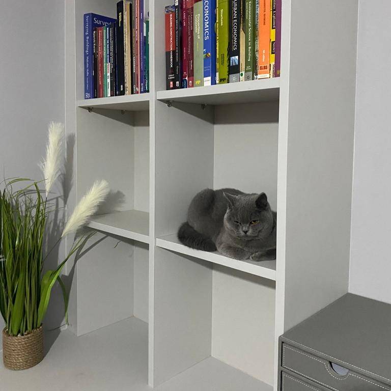 RpRiding's tweet photo. Friday afternoon and Maisie is taking a nap, whilst still keeping an eye on us packing up your orders! 

Look out for new stock over the weekend! 

#rpriding #newstock #cats #fridaynaptime #friday #nearlytheweekend #packing #orders #busyfriday #derbyshire #country https://t.co/HtB31nfTPz