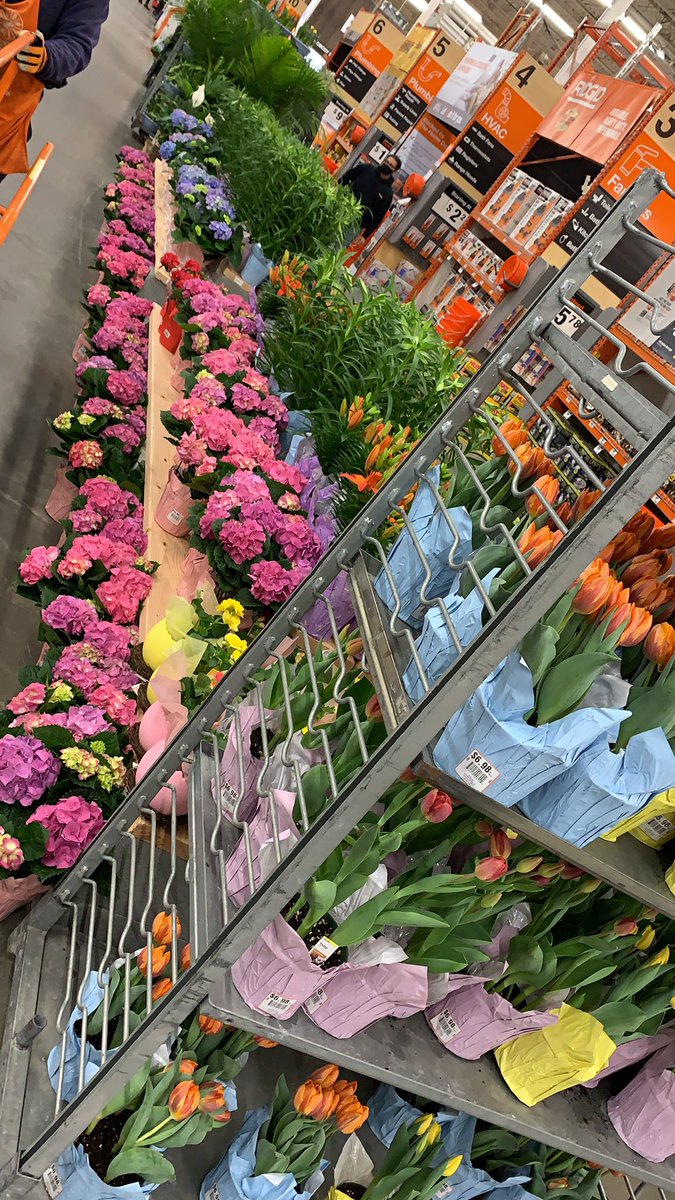 Chris Nitso (@chrisnitso) on Twitter photo Easter and Spring Flowers are Here. Come visit! #norwoodhomedepot <a href="/JasonArigoni/">Jason Arigoni</a> <a href="/Bkennedy88/">Brian Kennedy</a> <a href="/BrendaKearney4/">Brenda Kearney</a> <a href="/HomeDepot2681/">Home Depot Norwood</a> Easter and Spring Flowers are Here. Come visit! #norwoodhomedepot <a href="/JasonArigoni/">Jason Arigoni</a> <a href="/Bkennedy88/">Brian Kennedy</a> <a href="/BrendaKearney4/">Brenda Kearney</a> <a href="/HomeDepot2681/">Home Depot Norwood</a>