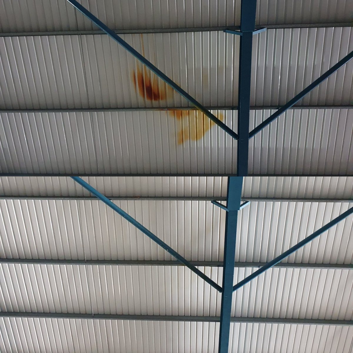 clarkanddaniel's tweet photo. Ink stains removed from ceiling panels thanks to Cladex LD, white scotch pad &amp; elbow grease.
@TensidUK https://t.co/K0lZO1iqpH
